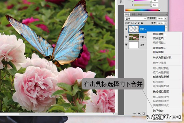 ps图层向下合并和图层合并的区别,photoshop图层与图层合并