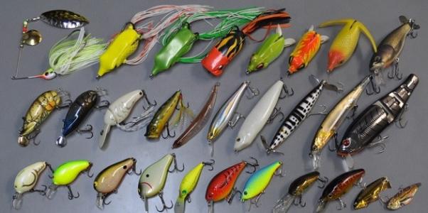 路亚竿选择看哪些指标,新手钓白条路亚竿怎么选择