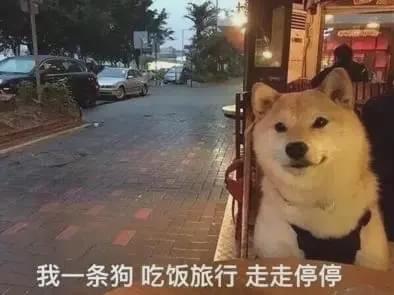 隔壁老王模拟器游戏,隔壁老王模拟器讲解