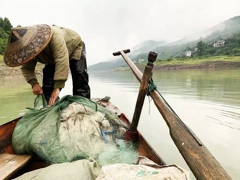 磨叽哥,磨叽哥直播