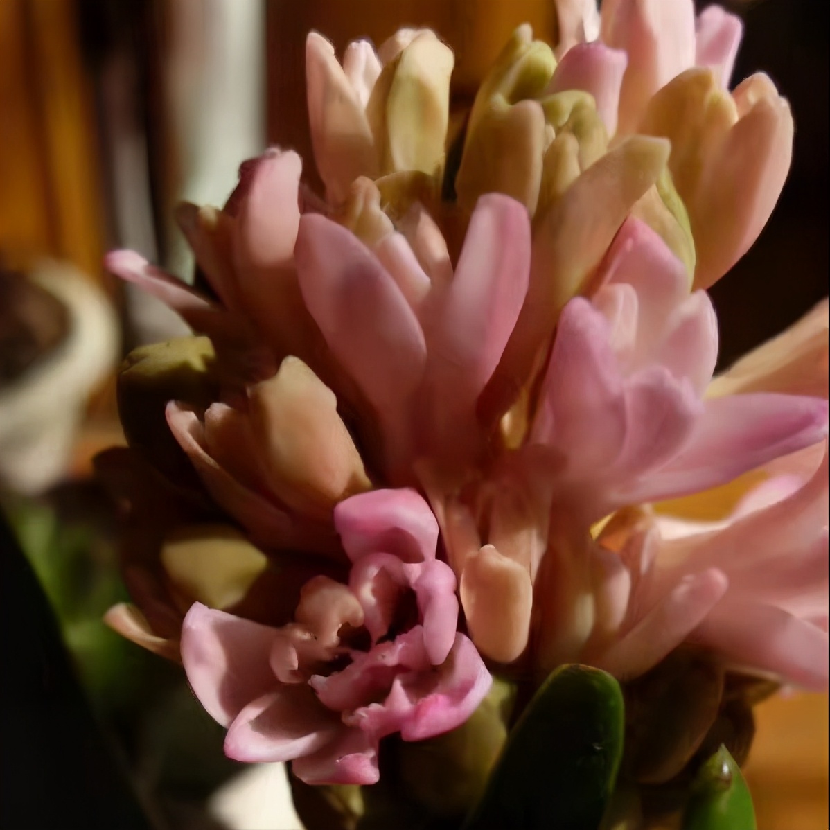 2020最精辟的年终总结结尾,2020年终总结简单几句话