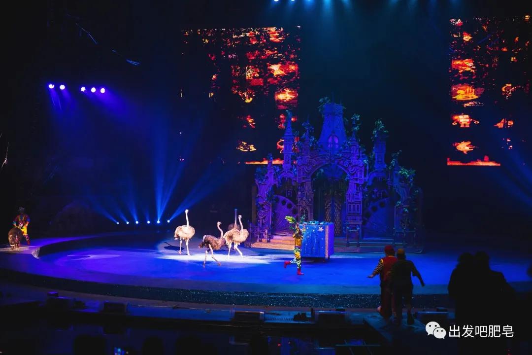 长隆水上乐园旅游路线攻略,长隆旅游攻略全过程