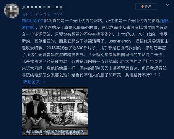 关于胖鸟,你们都说错了