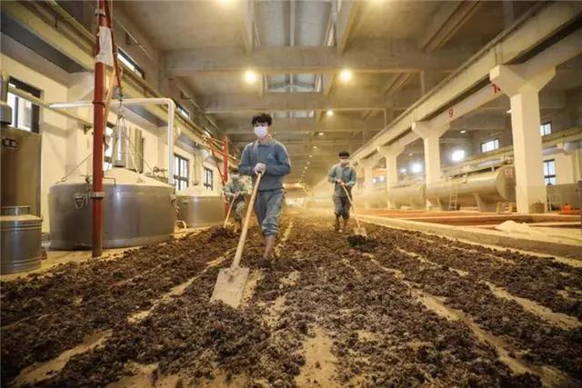 习酒今年破两百亿,习酒脱离茅台集团出的新品