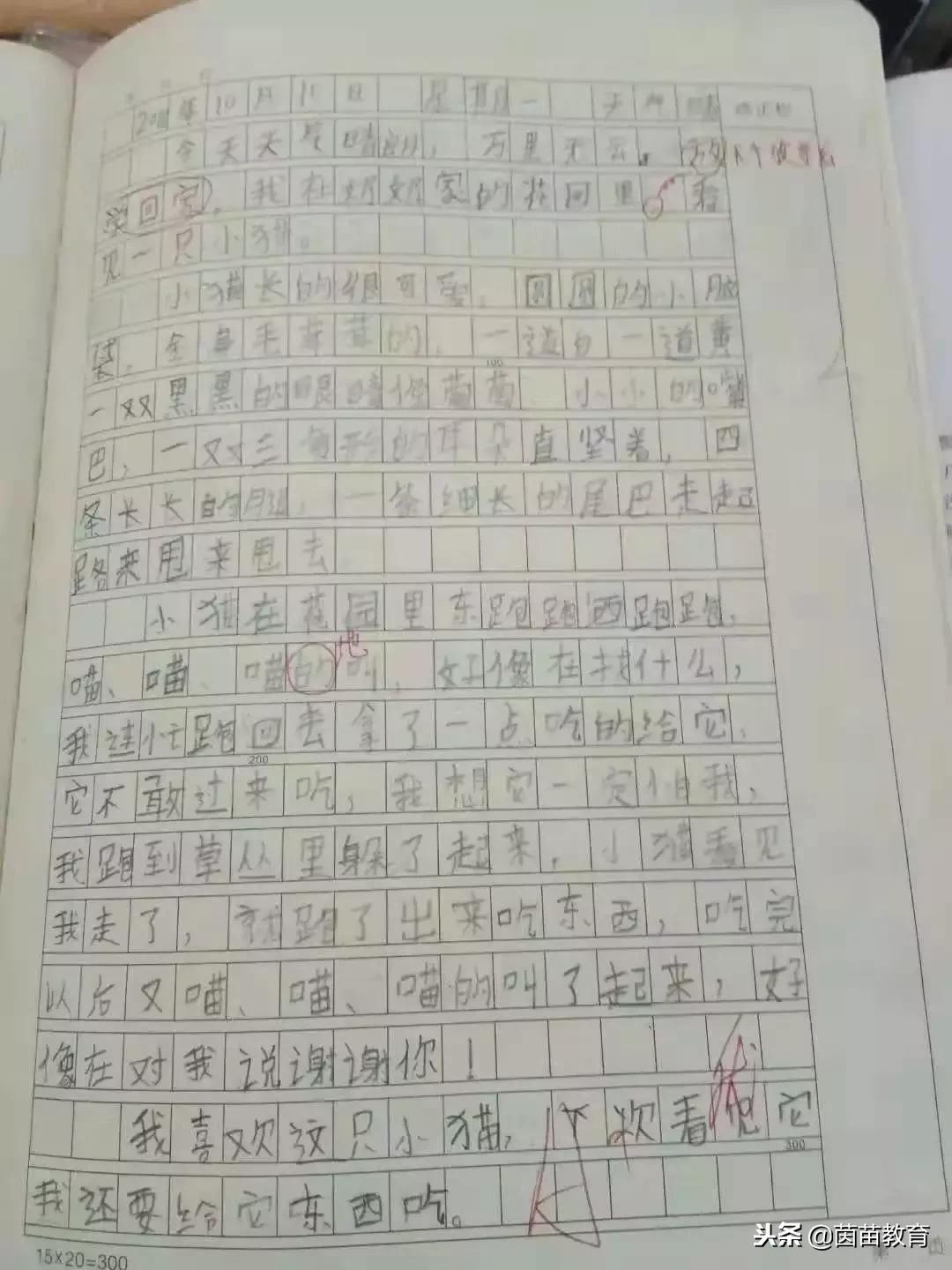 在家该如何辅导孩子写作文,怎样辅导五年级娃儿写作文