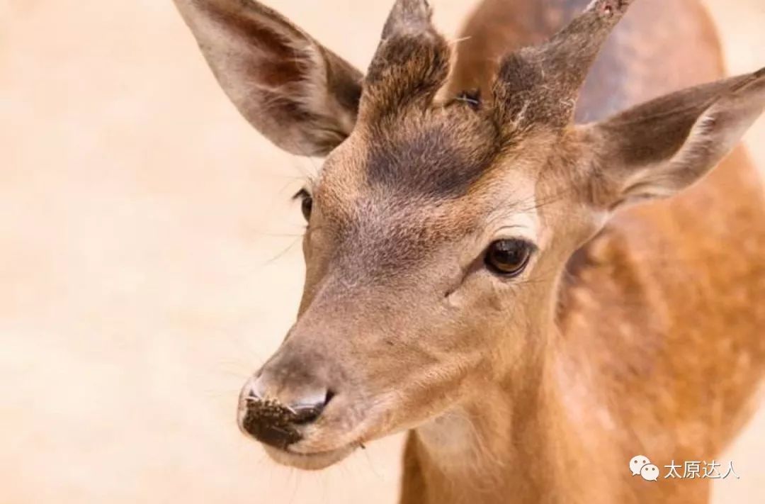 云泉谷峡谷漂流天空之境,云泉谷漂流一日游