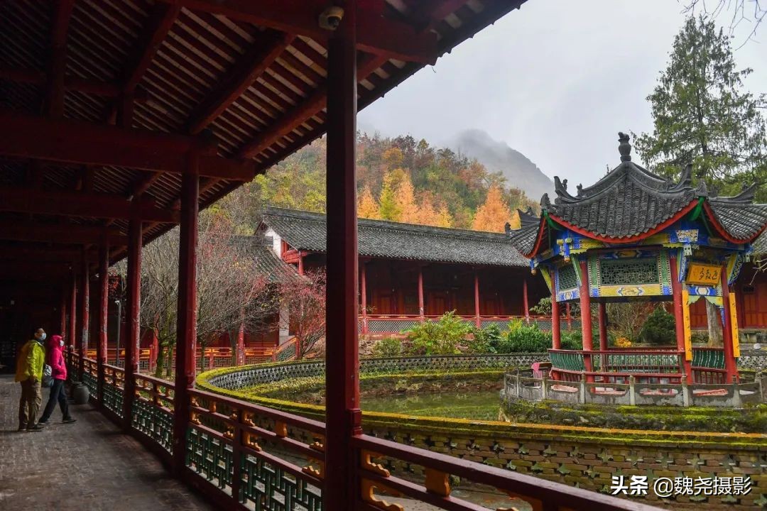 留坝秦岭之夜,留坝秦岭森林公园