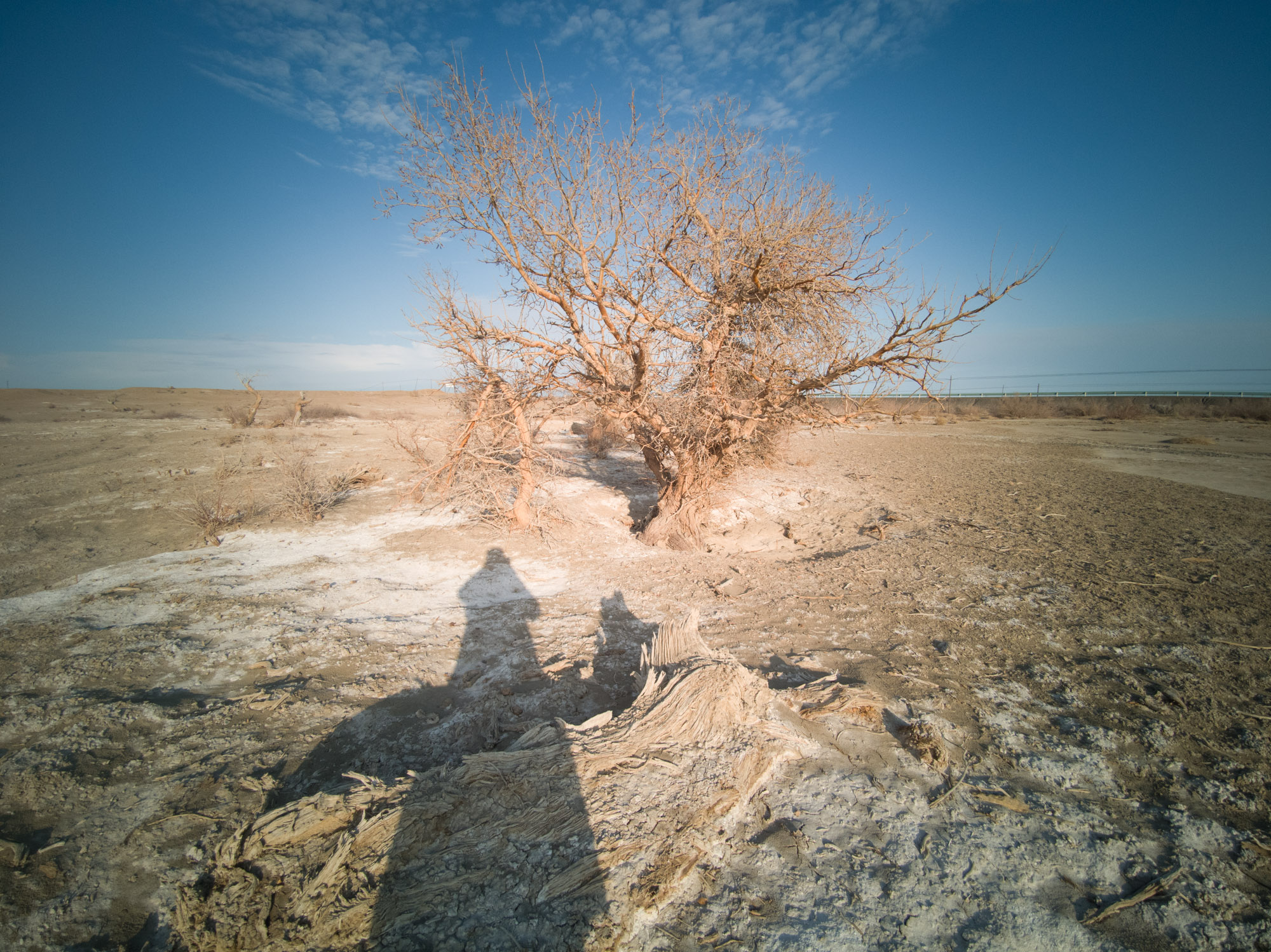 像素可以决定能放大多少倍吗,像素能代表清晰度么