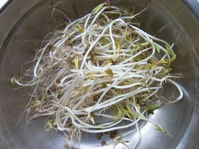 泡豆芽最简单的方法,豆芽怎么泡又快又好吃