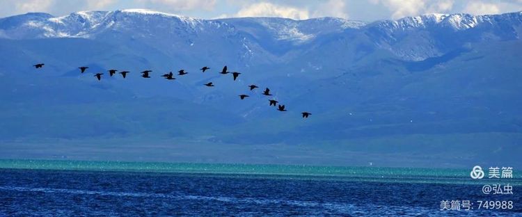 汉中青海甘肃大环线七日游,五一到秦岭旅游攻略三日游