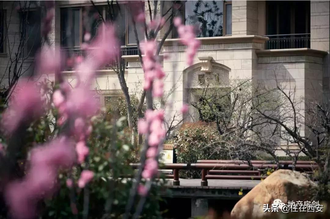 品质生活ip,星河湾的品质