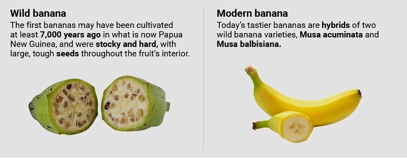 双11不看价格买手机,双11你们准备买什么呀