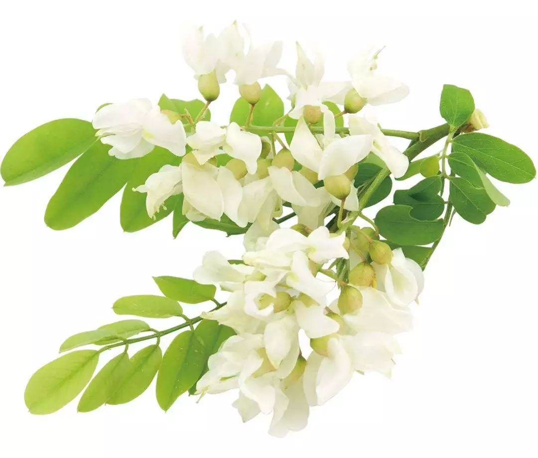 治疗痔疮的7种小偏方有哪些,痔疮反复发作教你一招缓解痔疮