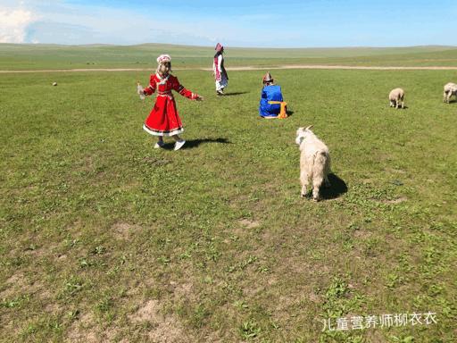 暑假内蒙古旅游攻略亲子,暑假亲子游玩内蒙古5天4夜