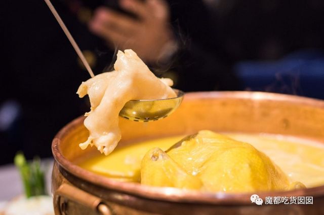 重磅收藏|魔都最全花胶鸡测评，我们为此吃掉200斤花胶鸡！