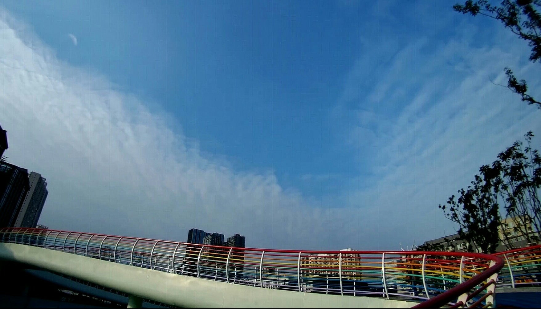 老茶店门店换新颜,茶店子新公园