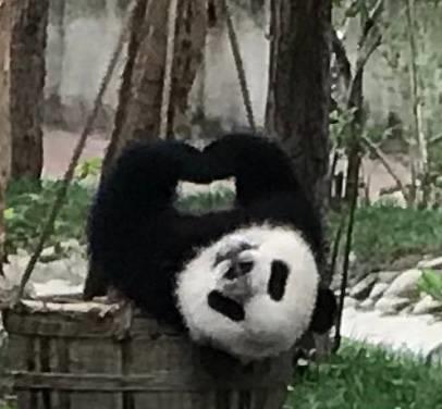 毛戈平仿妆图片 (毛戈平新中式妆容)