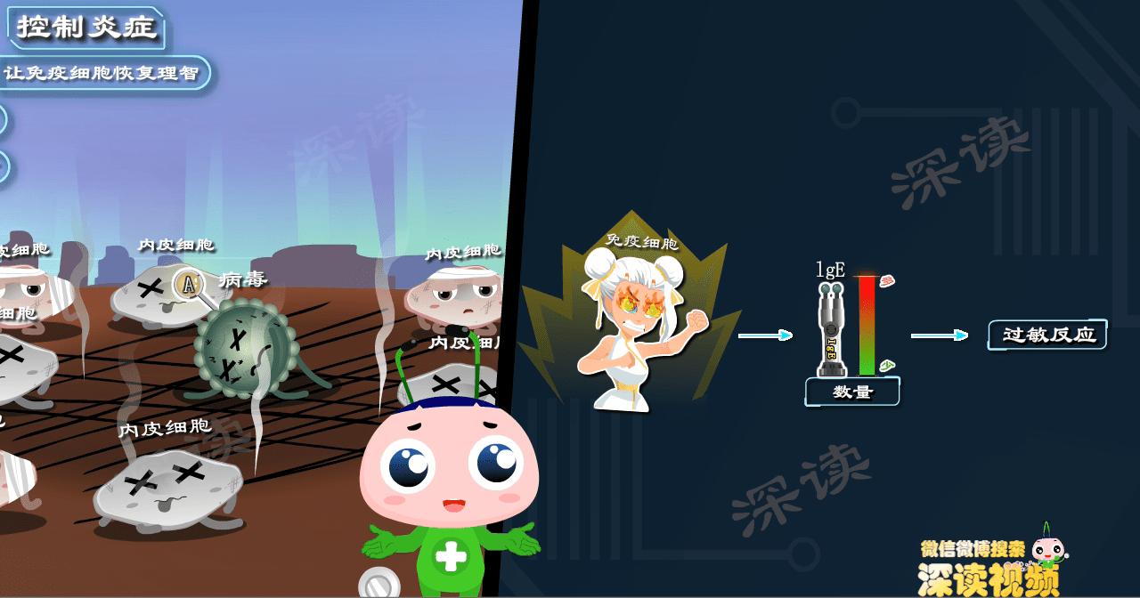 过敏性紫癜反复难根治？激素治疗靠谱吗？动漫科普紫癜治疗黑科技