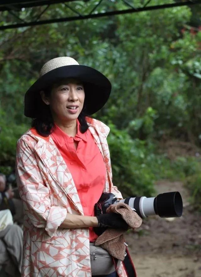 朱玲玲豪门贵妇 (香港豪门贵妇朱玲玲)