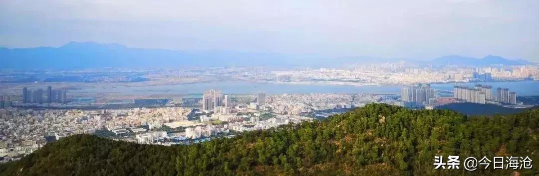 酒店团购厦门嵩屿码头,海沧嵩屿码头附近酒店