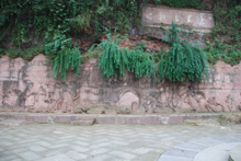 水墨上里完整版,水墨上里视频