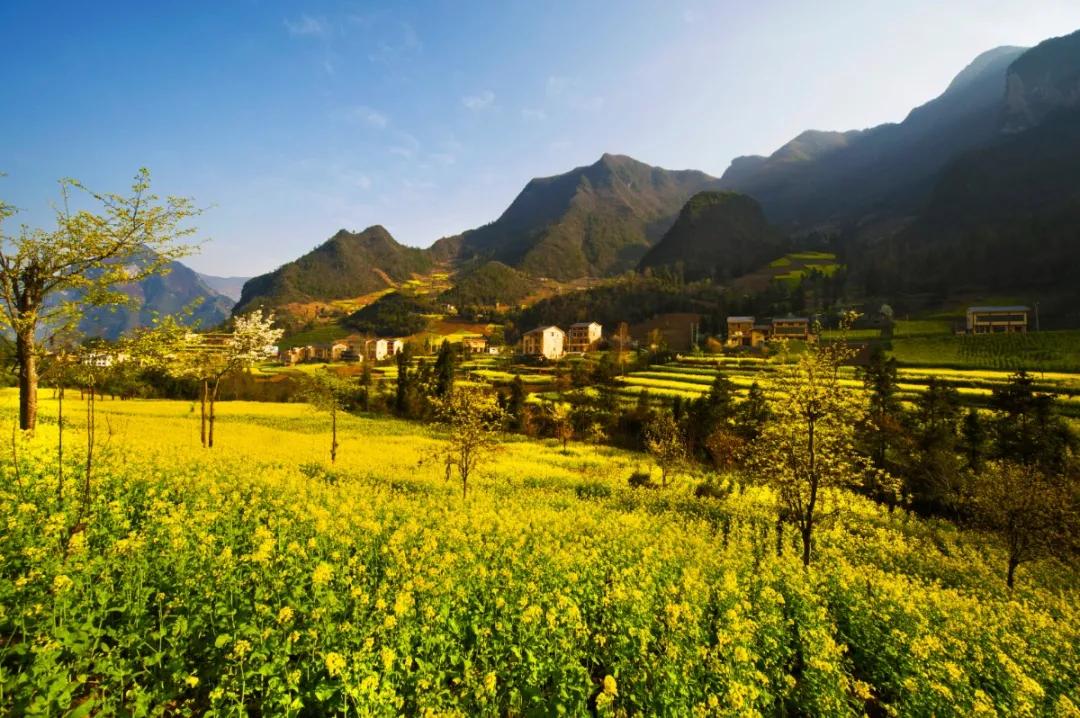 重庆北碚清明节踏青好去处,重庆巴南踏青一日游最佳攻略