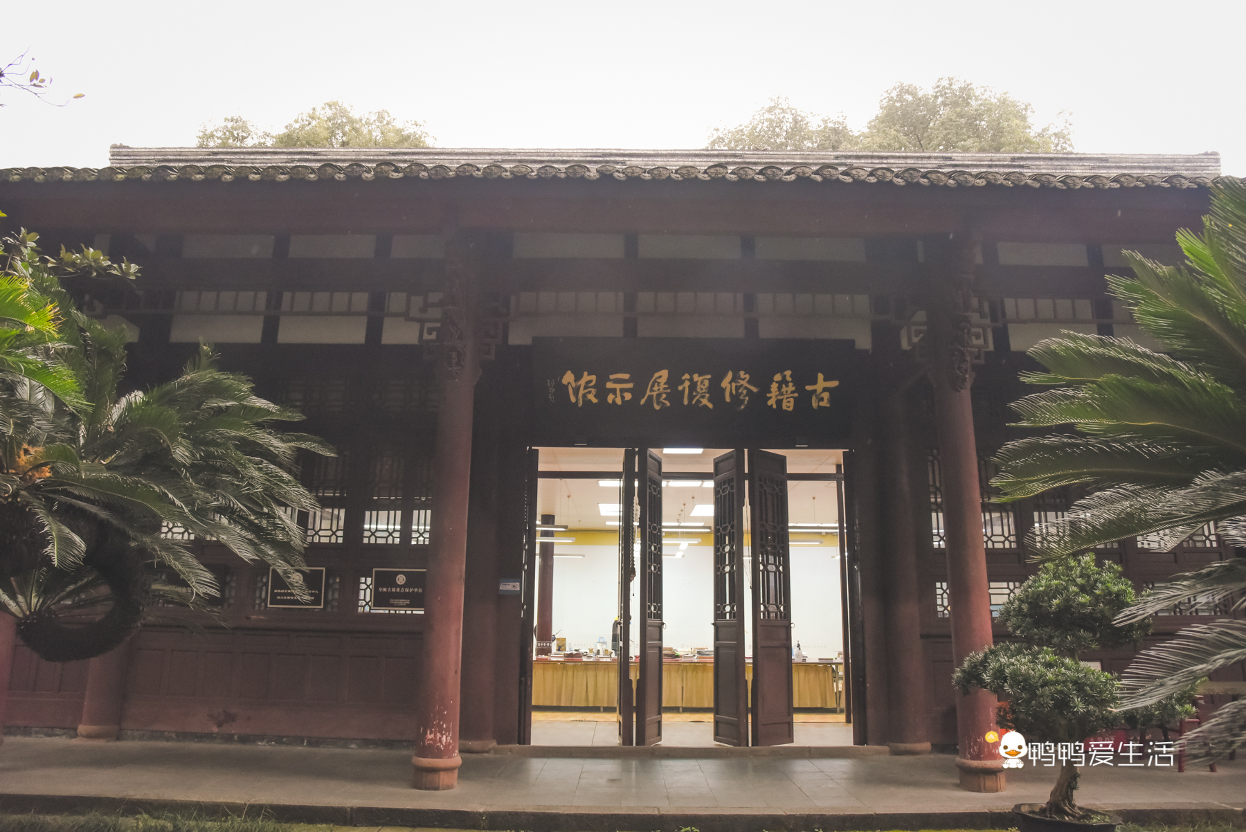 杜甫草堂打卡,成都杜甫草堂浣花溪打卡