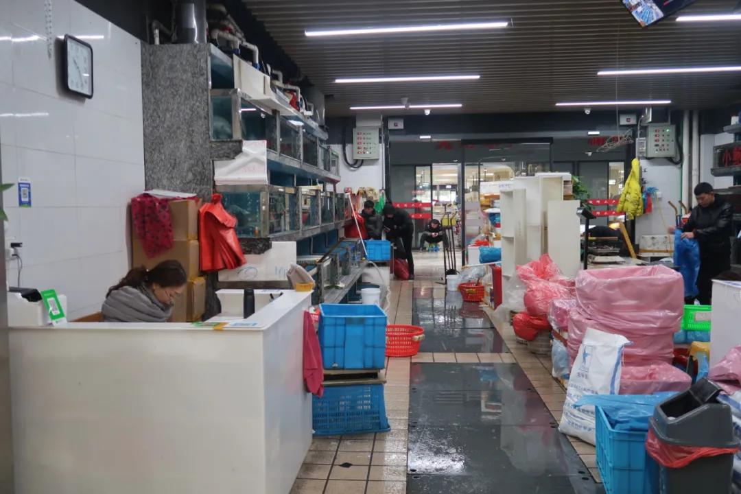 在这个足足2万平的奇妙海鲜“商场”，我找到了赚钱的动力