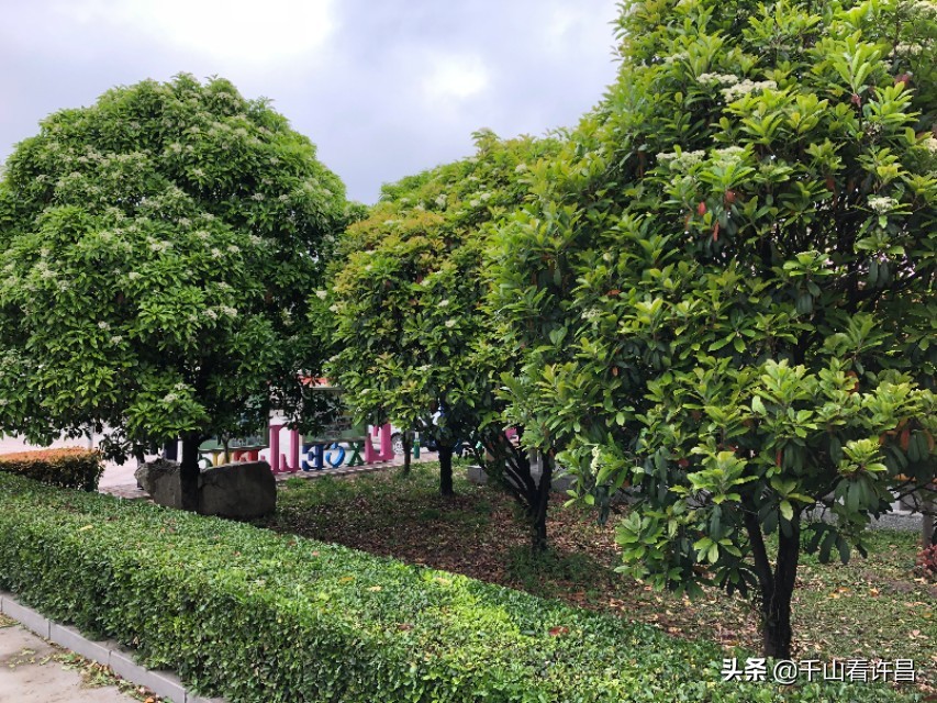 许昌市第一中学平面图,河南省许昌市襄城一中