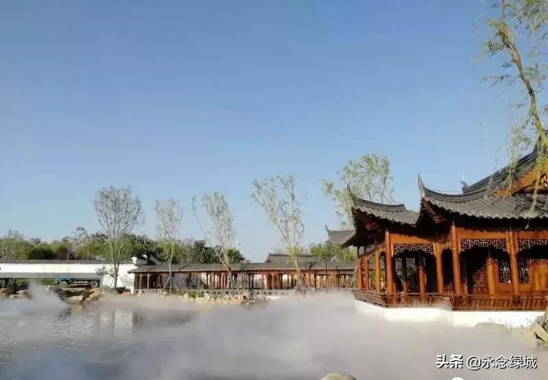 南阳世界月季大观园开幕邀请,南阳月季大观园门票现在免费政策