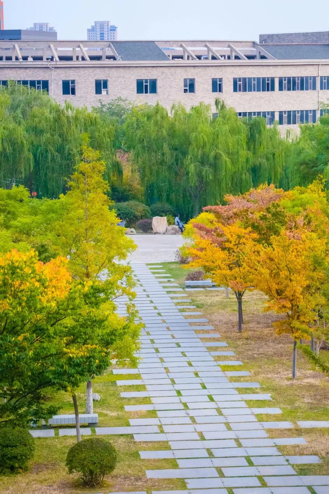 辽宁省民办大学（二）大连东软信息学院