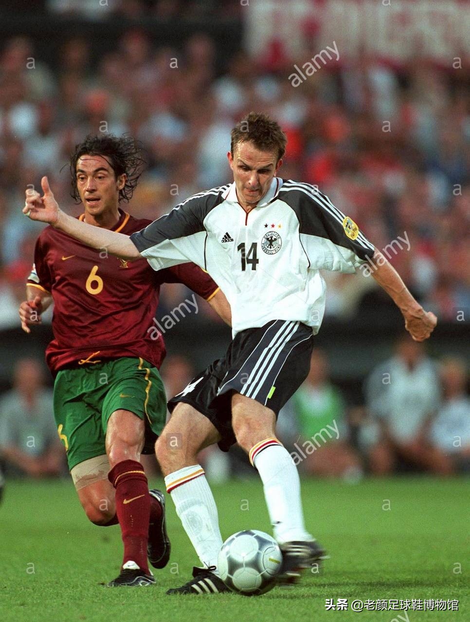 权健主帅,权健主教练卡纳瓦罗