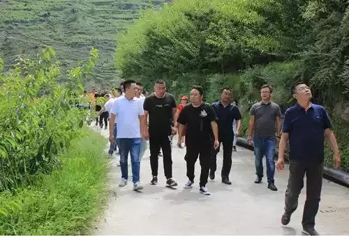 汶川脆红李子基地,2020年汶川脆李子产量