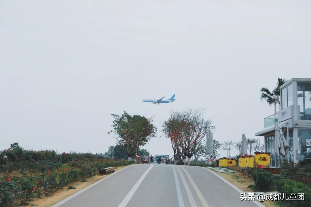 空港运动公园游玩攻略,空港体育公园是空港花田吗