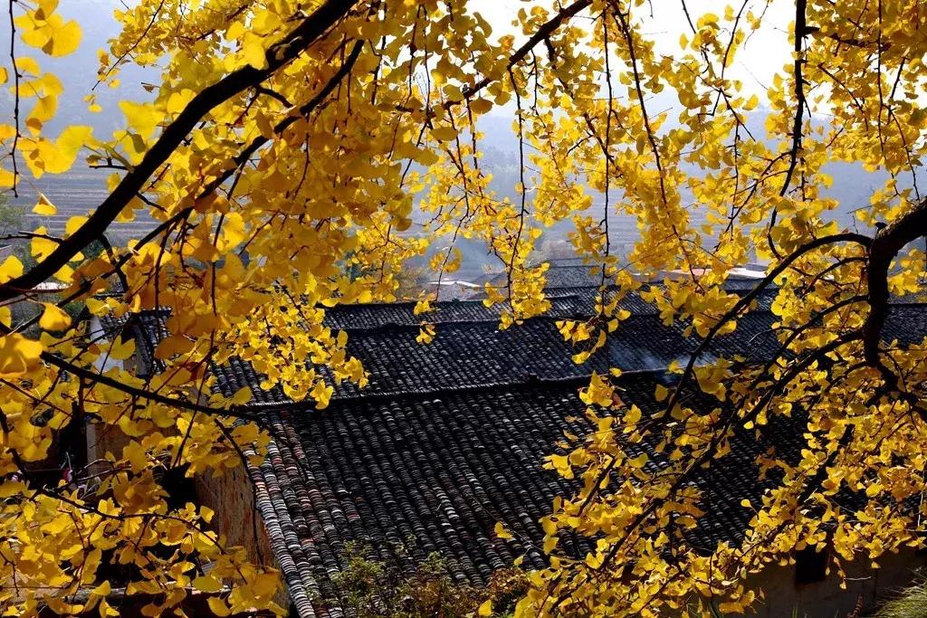 有个地方叫南雄,岭南一隅的南雄