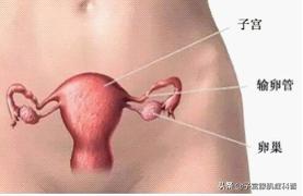 妇科病出血和大姨妈出血的区别,大姨妈完以后又出血需要检查什么