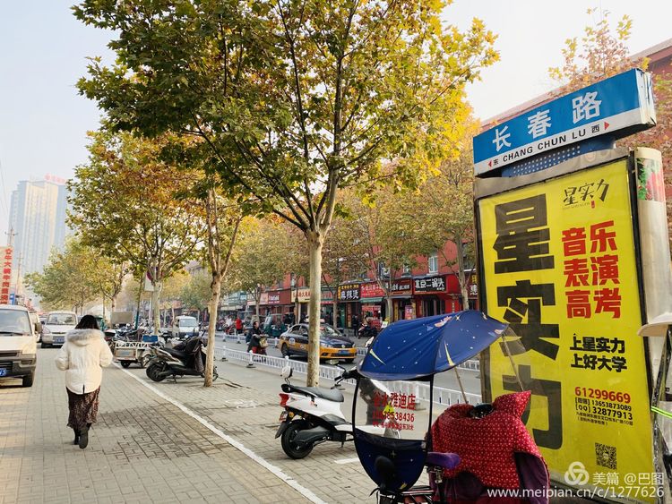 涧西牡丹广场老照片,洛阳牡丹手机拍照