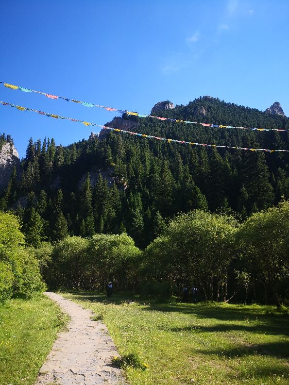 甘肃则岔石林旅游景区,则岔石林哪个漂亮