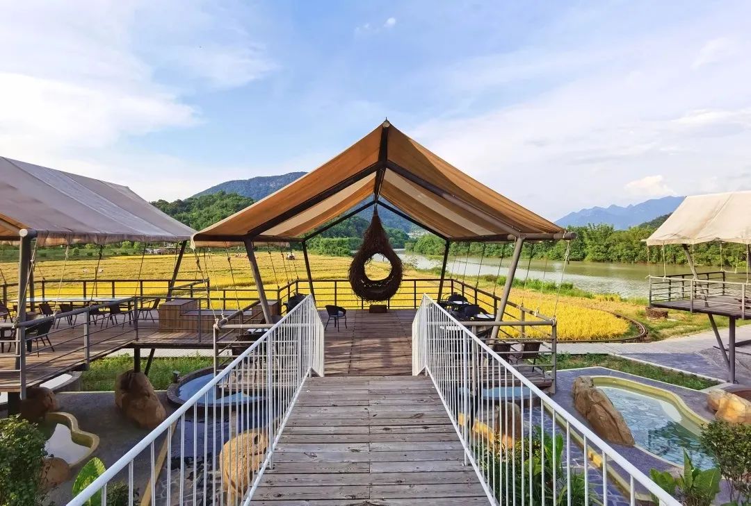 柿柿如意今秋造访最美柿子乡,金秋十月收获的季节柿柿如意