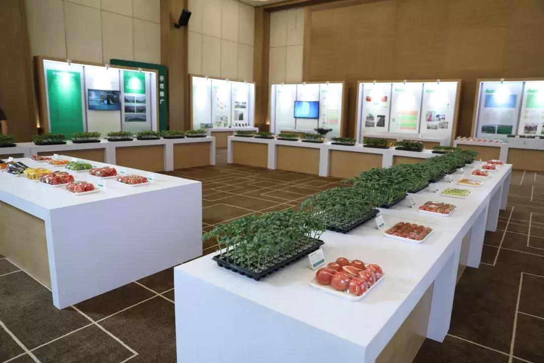 乡村振兴十大特色项目可研报告,乡村振兴百村示范项目