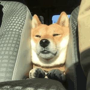 暴食症悬疑故事,暴食症的心理问题