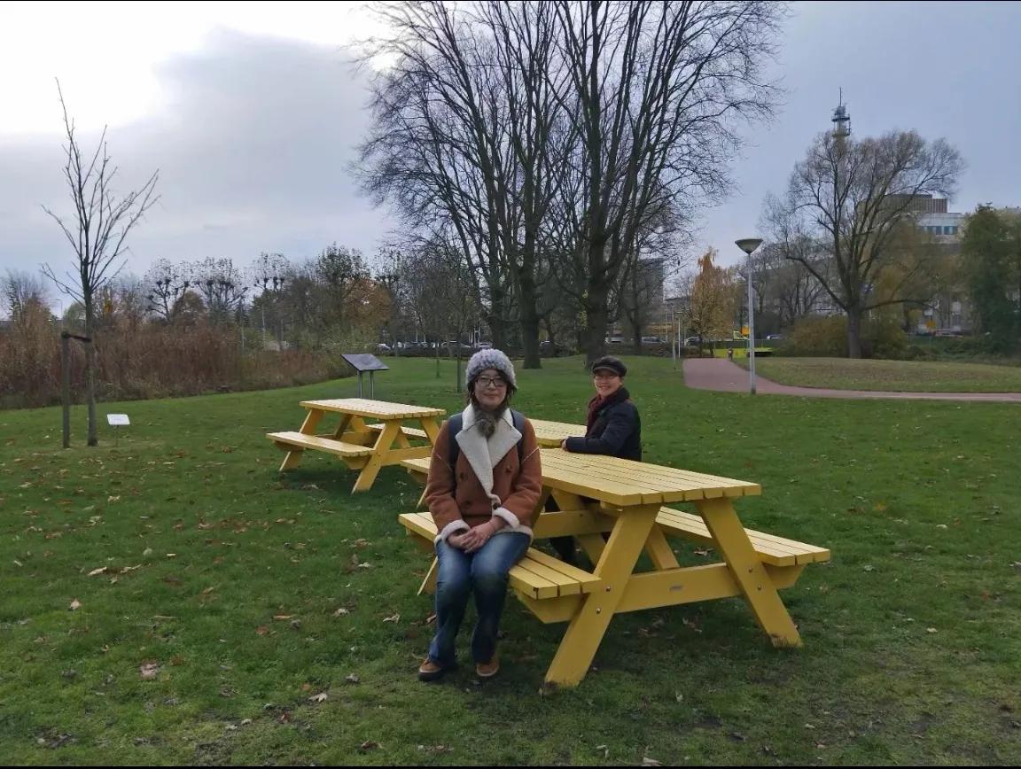 第一天去荷兰旅行,到荷兰的第一天