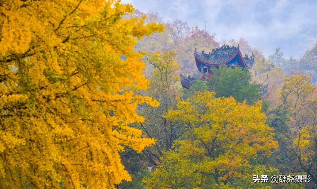 留坝秦岭之夜,留坝秦岭森林公园