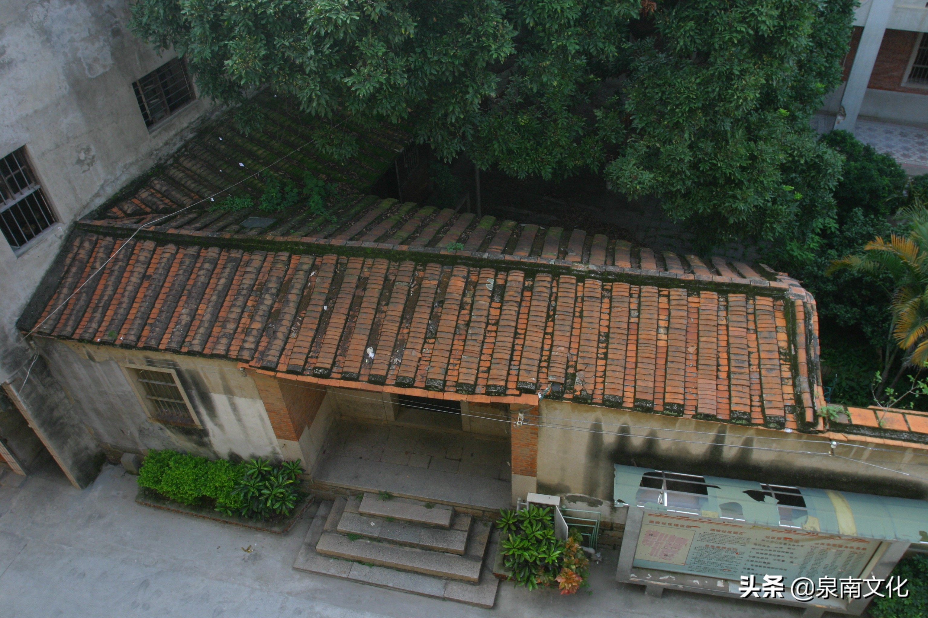 泉州中山路两侧巷道踏勘日记（三）：奎霞巷、会通巷、通政巷等