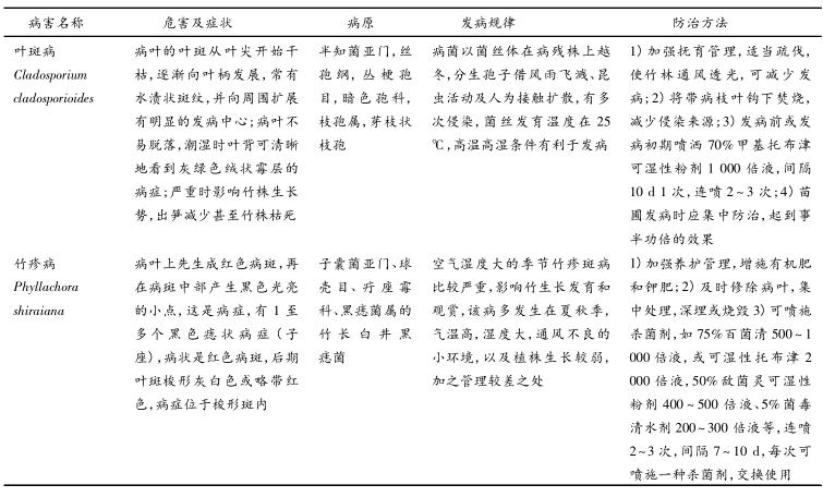 正宗巨龙竹苗怎么种,巨龙竹种子育苗程序