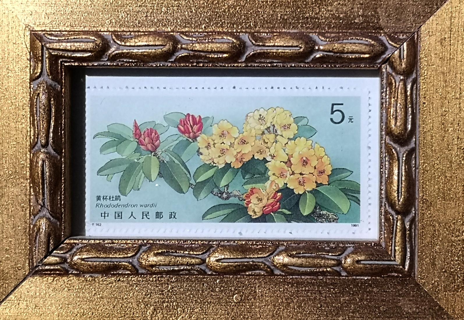 植物画家曾孝濂,画家曾孝濂作品欣赏