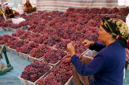 如果你去新疆吃葡萄你会怎么夸,去新疆不要问葡萄干多少钱一斤
