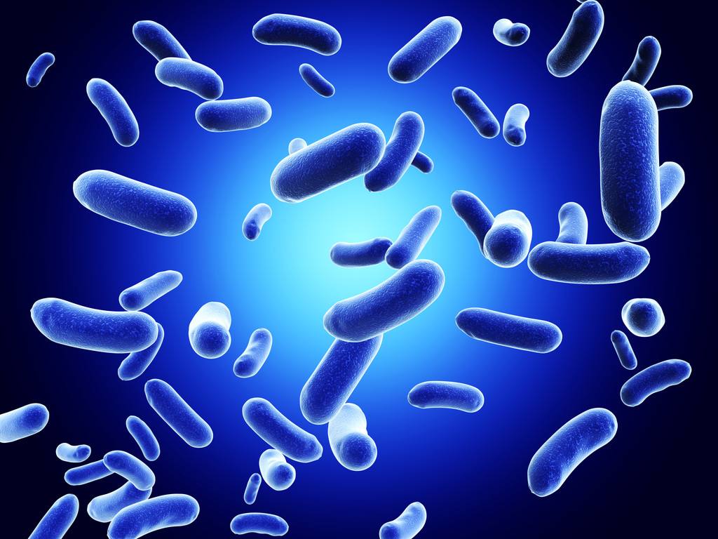 细菌病毒支原体衣原体症状区别,细菌病毒支原体衣原体之间区别