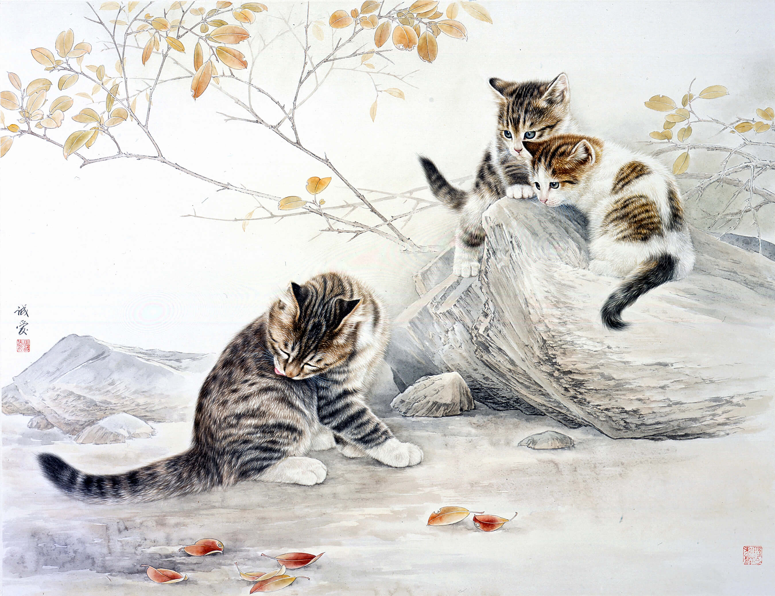 邢诚爱工笔画猫的图片,邢诚爱工笔画猫兔子高清大图