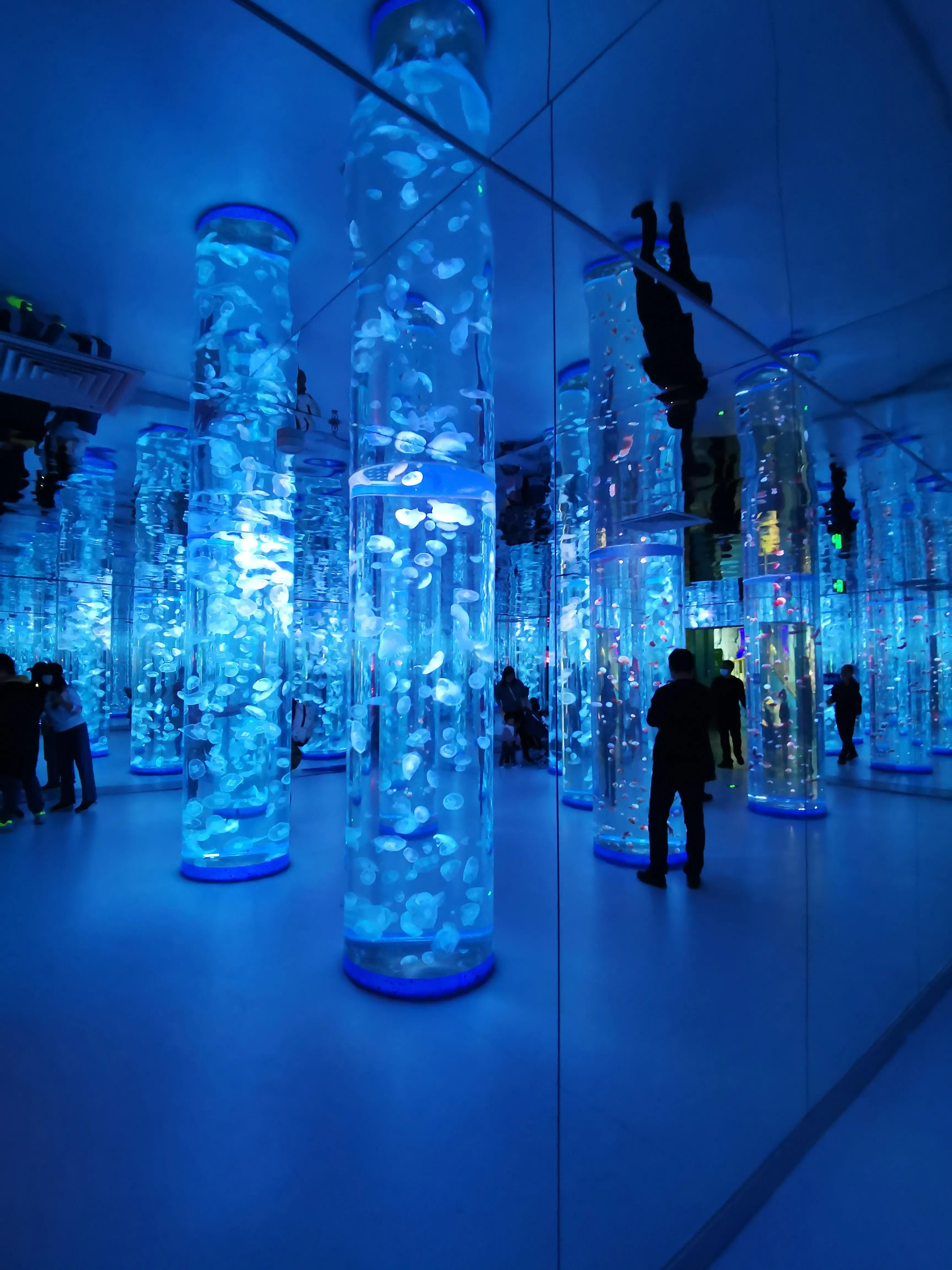 璧拌繘娴锋磱鍔ㄧ墿娴峰簳涓栫晫,鍙傝娴峰簳涓栫晫娴锋磱鍔ㄧ墿瑙嗛